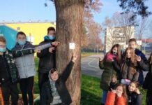 Učenici OŠ „Mato Lovrak” sudjelovali na Međuškolskim projektima Adventski kalendar i Matematika i Božić