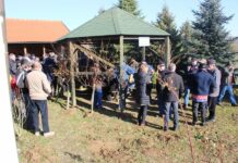 Policija upozorava “vesele vozače”: Pazite sutra kako vozite, kazne su visoke!