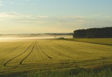 Vlada RH usvojila prijedlog Zakona o izmjenama i dopunama Zakona o poljoprivrednom zemljištu