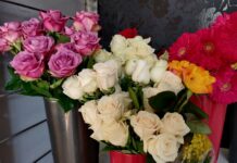 Danas je Valentinovo, slavimo “leptiriće” i ideju prave ljubavi