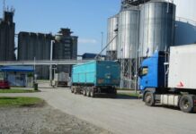 Cijene žitarica rastu: Mnoge zemlje panično osiguravaju zalihe