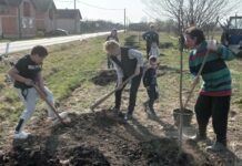 Akcija u Maloj Sloveniji: Mladi sadili voćkored starih sorti