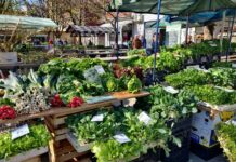 Proljeće je stiglo na novogradišku tržnicu