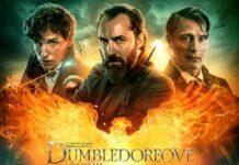 Kino Nova Gradiška: Akcijski film Čudesne zvijeri: Dumbledoreove tajne