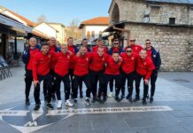 Tihi Vatreni na Euru – Slavonci dali svoj doprinos ovom sjajnom uspjehu