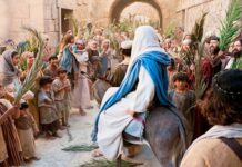 Dan koji počinje umivanjem u cvijeću: Znate li zašto se slavi Cvjetnica?