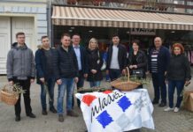Gradska organizacija HDZ-a Nova Gradiška: Maslinove grančice za sugrađane