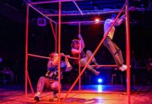 Danas u Gradskom parku besplatna predstava i radionica „Generacija X Y Z”