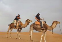 Fotoobjektivom iz Afrike: novogradiški bikeri Ivan i Mario motore zamijenili devama / foto