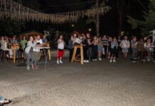 Koncert Nine Kraljić ispunio gradski park