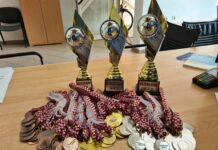 Škola nogometa NK”Sloga” Nova Gradiška po prvi puta u velikoj organizaciji dječjeg turnira “Sloga limač kup”