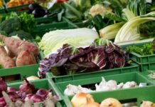 Novi Natječaj za proizvođačke organizacije vrijedan 10 milijuna kuna