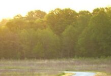 Odobreno 120 tisuća kuna za rekonstrukciju nerazvrstane ceste u naselju Štivica