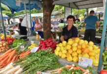 Bogata ponuda na novogradiškoj tržnici