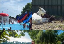 Ljeto na novogradiškom području: Hvali more, drž’ se kopna!