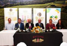 Kreće Festival “Zlatne žice Slavonije” u Požegi, evo što nas očekuje