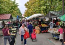 Novogradiška tržnica – šarena oaza ekološkog uzgoja