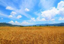 U javnoj raspravi Strateški plan ZPP-a 2023.-2027.: Hrvatska osigurala dodatnih 100 milijuna eura