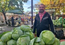 Novogradiška tržnica u jesen