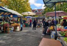Novogradiška tržnica: Bogata ponuda uz pristupačne cijene