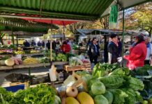 Novogradiška tržnica: Bogata ponuda uz pristupačne cijene