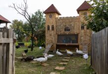 U Baranji je izgrađen Kokingrad! Ima komunalnu strukturu, hotel, kapelicu, kafić…