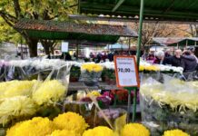 Ponuda na novogradiškoj tržnici: Ususret blagdanu Svih svetih