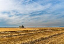 Danas započinje isplata 1,7 milijarde kuna predujma poljoprivrednicima