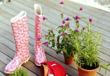 Uzgoj povrća i začina tijekom zime nije nemoguć