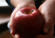 Najljepše tradicije koje će razveseliti sve ukućane