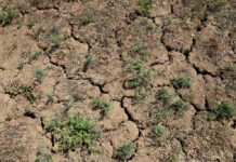 U postupku e-savjetovanja 100 milijuna kuna vrijedan program za ublažavanje štete od suše