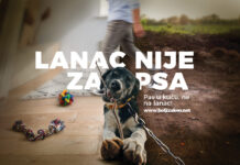 Intrigantnim jumbo plakatima: Lanac nije za psa, a tigar nije za dvorište!