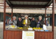 Novogradiška Liga protiv raka dr. Zorislav Slović sutra će obilježiti Dan mimoza, pridružite im se