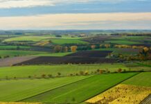 U tijeku isplata prvih 33 milijuna kuna pomoći poljoprivrednicima za štete od suše