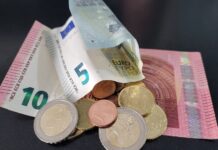 DZS: Smanjena potrošnja u prosincu