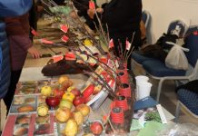 U Cerniku organiziraju još jednu manifestaciju “Sačuvajmo stare sorte Cernik 2023.“