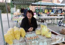 Šareno i domaće –  novogradiška tržnica