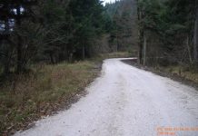Uloženo više od 3,3 milijuna EUR sredstava OKFŠ-a u održavanje šumskih cesta