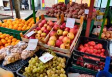 Pad proizvodnje voća u Hrvatskoj