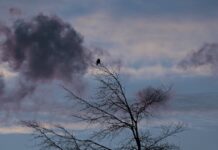 Napokon zimske temperature, ali bez snijega