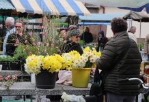 Novogradiška tržnica – šarena oaza domaćih proizvoda