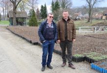 Obilježen Svjetski dan šuma u Novoj Gradiški