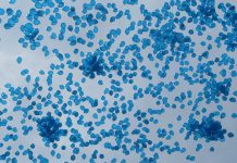 Danas je Svjetski dan svjesnosti o autizmu