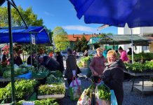 Ponuda na Gradskoj tržnici