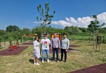 Projekt “Hrvatska prirodno tvoja”: u Novoj Gradiški posađeno 17 stabala graba i javora