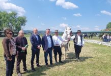 Održana 2. Nacionalna izložba konja lipicanaca