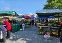 Ponuda na novogradiškoj tržnici