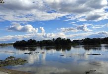 Brodsko posavski policajci ponovno spašavali strane državljane iz rijeke Save