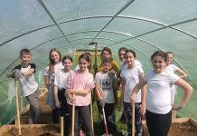 Osnovna škola „Antun Mihanović” Nova Kapela Batrina: Ubrali smo prve plodove našega rada