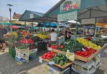 Ljetna ponuda na novogradiškoj tržnici